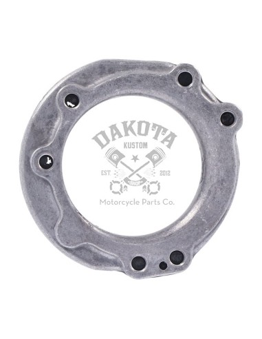 Carburador Mikuni HSR42...