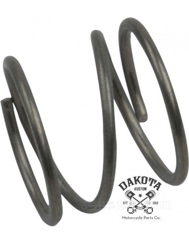 Muelle Ajuste Embrague H-D Sportster 94-20