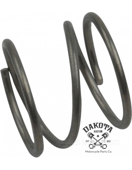 Muelle Ajuste Embrague H-D Sportster 94-20