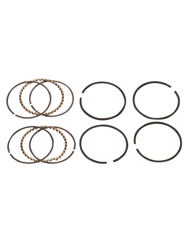 Juego Segmentos Hastings...