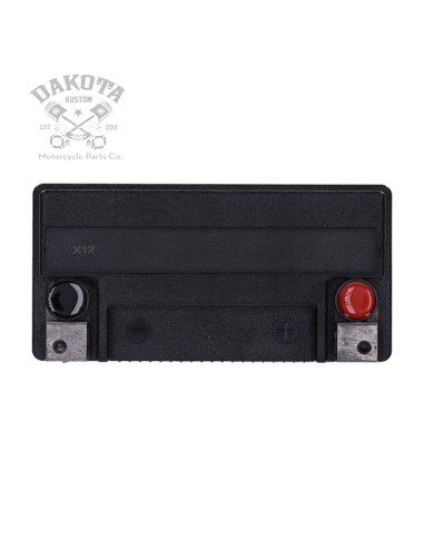 Bateria MCS MTX20HL Serie Nano...