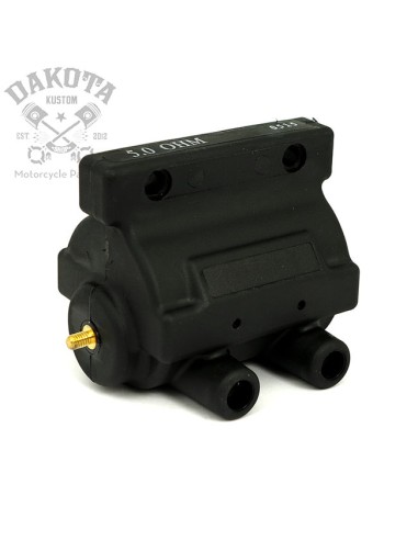 Bobina Encendido Negra...