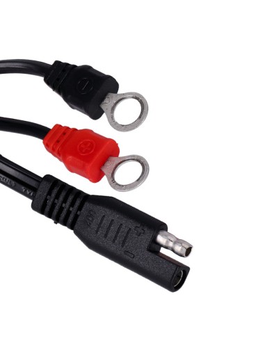 Cargador Mantenedor Batería Battery...