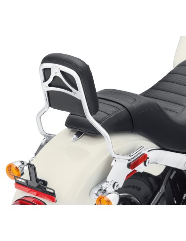 Sissy Bar HoldFast Harley-Davidson...