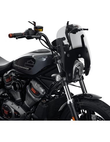 Pantalla Desmontable Harley-Davidson...