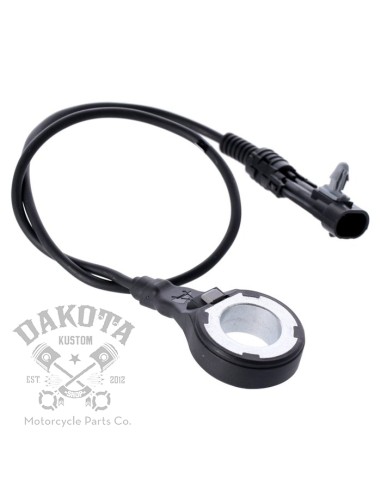 Sensor Freno ABS Trasero...