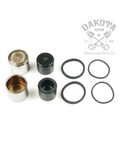 Juego Pistones y Sellos...