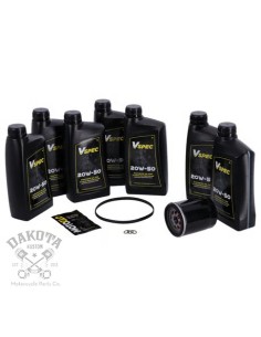 Kit Cambio Aceite Motor,...