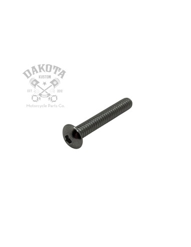 Tornillo Lente Piloto Trasero...