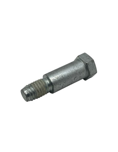 Tornillo Amortiguador Trasero...