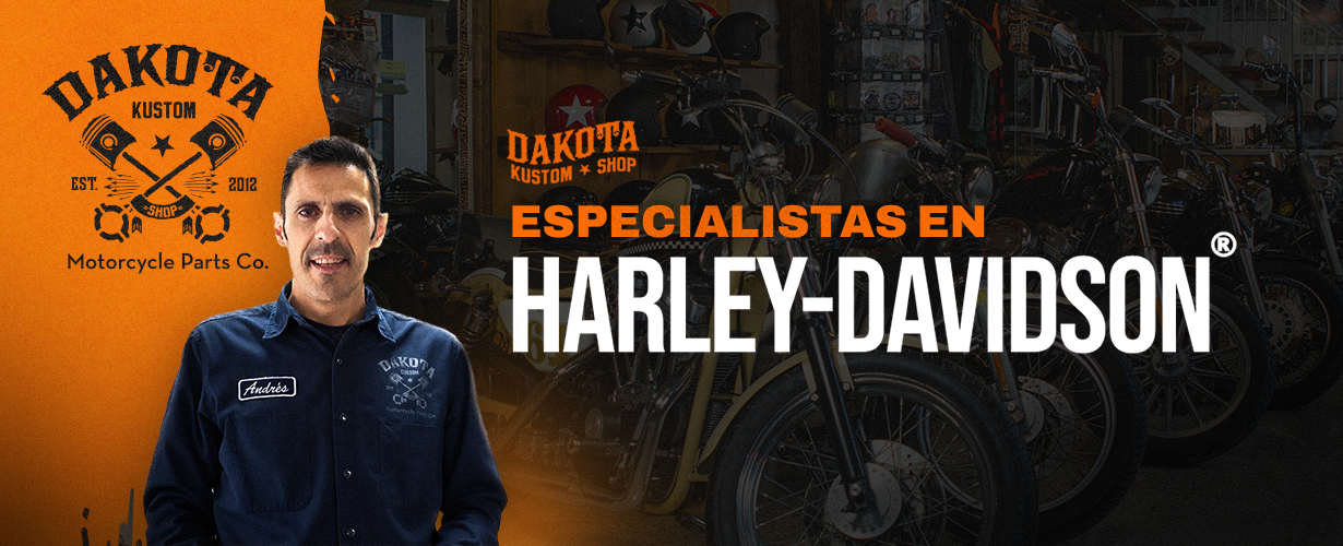 Especialistas Harley Davidson